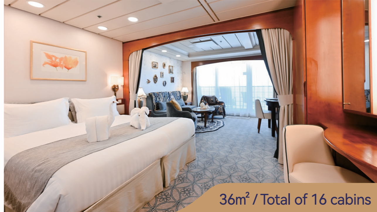 Mini/Luxury Suite